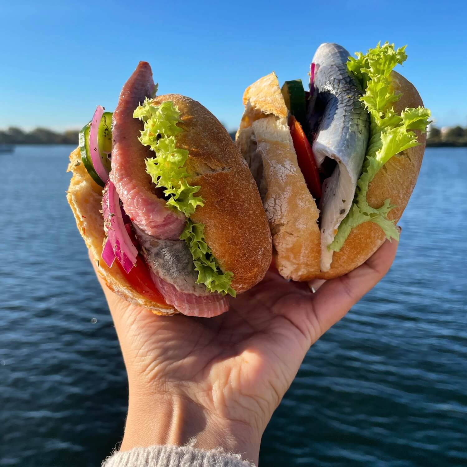 Fischbrötchen in der Hand im Schiffercafé Kiel